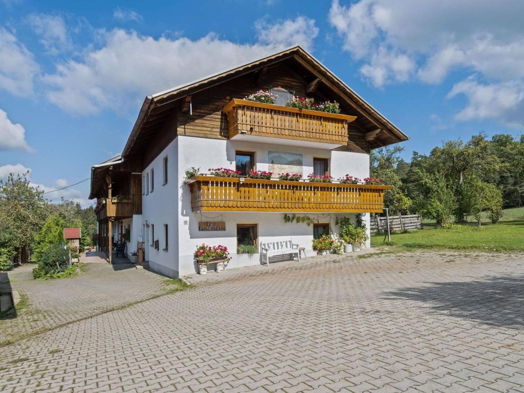 Apartment On A Farm Near The Ski Area Neukirchen beim Heiligen Blut Exterior photo